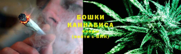 прущие грибы Горняк