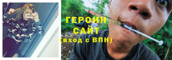 прущие грибы Горняк