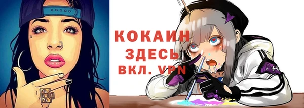 прущие грибы Горняк
