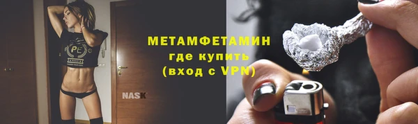 прущие грибы Горняк