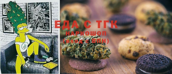прущие грибы Горняк