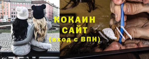прущие грибы Горняк