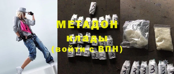 прущие грибы Горняк