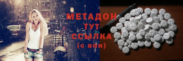 прущие грибы Горняк