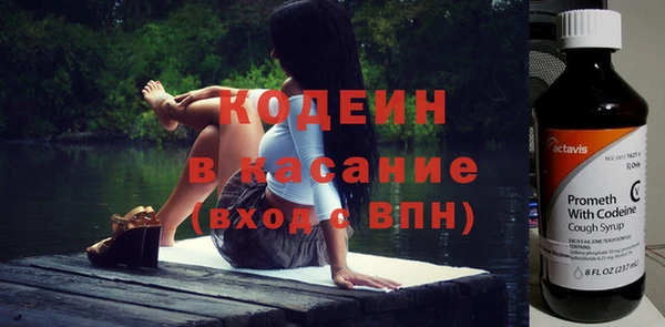 прущие грибы Горняк