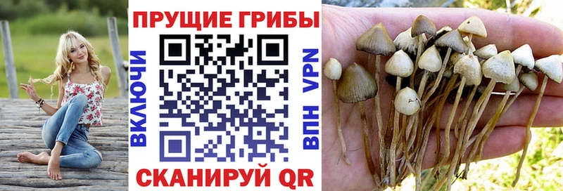 Псилоцибиновые грибы GOLDEN TEACHER  купить наркотик  Яранск 