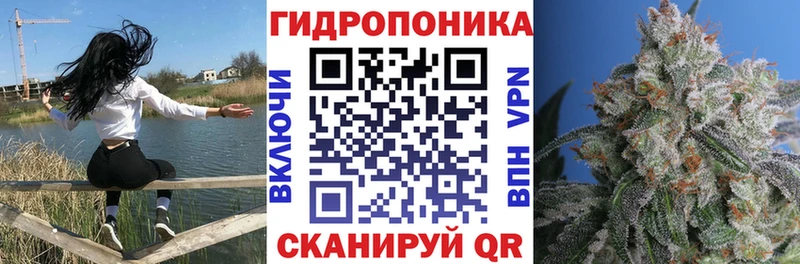 Шишки марихуана сатива  Яранск 